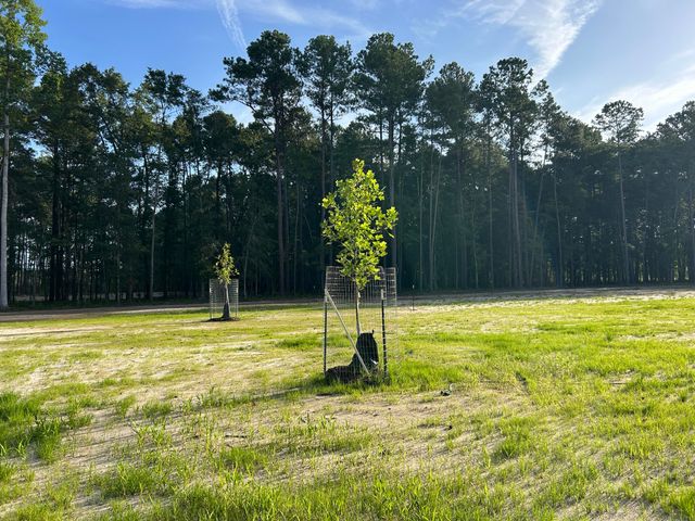 379 Fish Road Estates Lane, Ridgeville, SC 29472