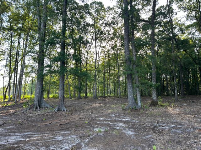 379 Fish Road Estates Lane, Ridgeville, SC 29472