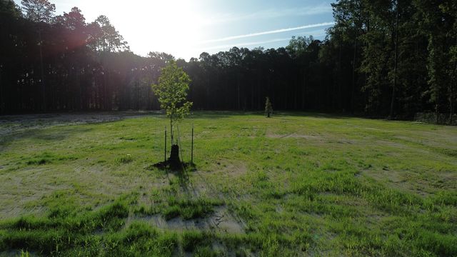 379 Fish Road Estates Lane, Ridgeville, SC 29472