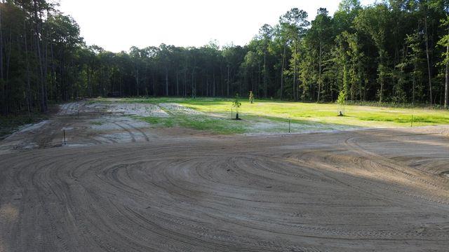 379 Fish Road Estates Lane, Ridgeville, SC 29472