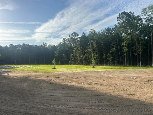 379 Fish Road Estates Lane, Ridgeville, SC 29472