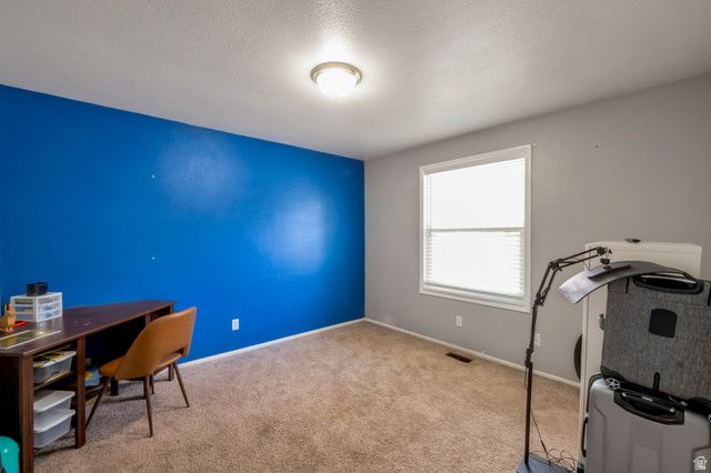 1117 E 30 S, Pleasant Grove, UT 84062
