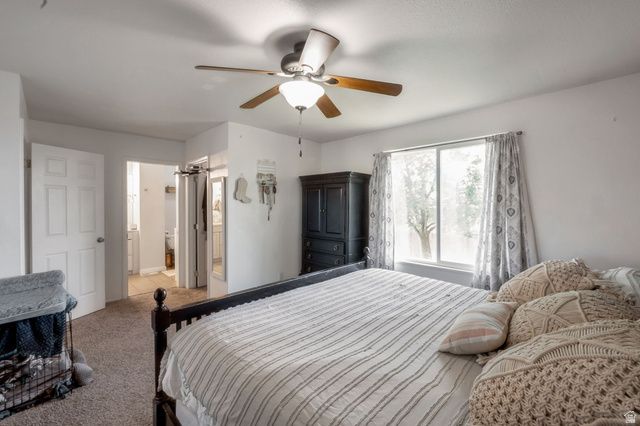 1117 E 30 S, Pleasant Grove, UT 84062