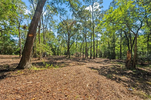 0 Fm-1008, Dayton, TX 77535