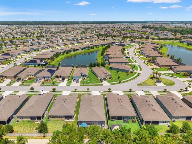 31486 TANSY BEND, Wesley Chapel, FL 33545