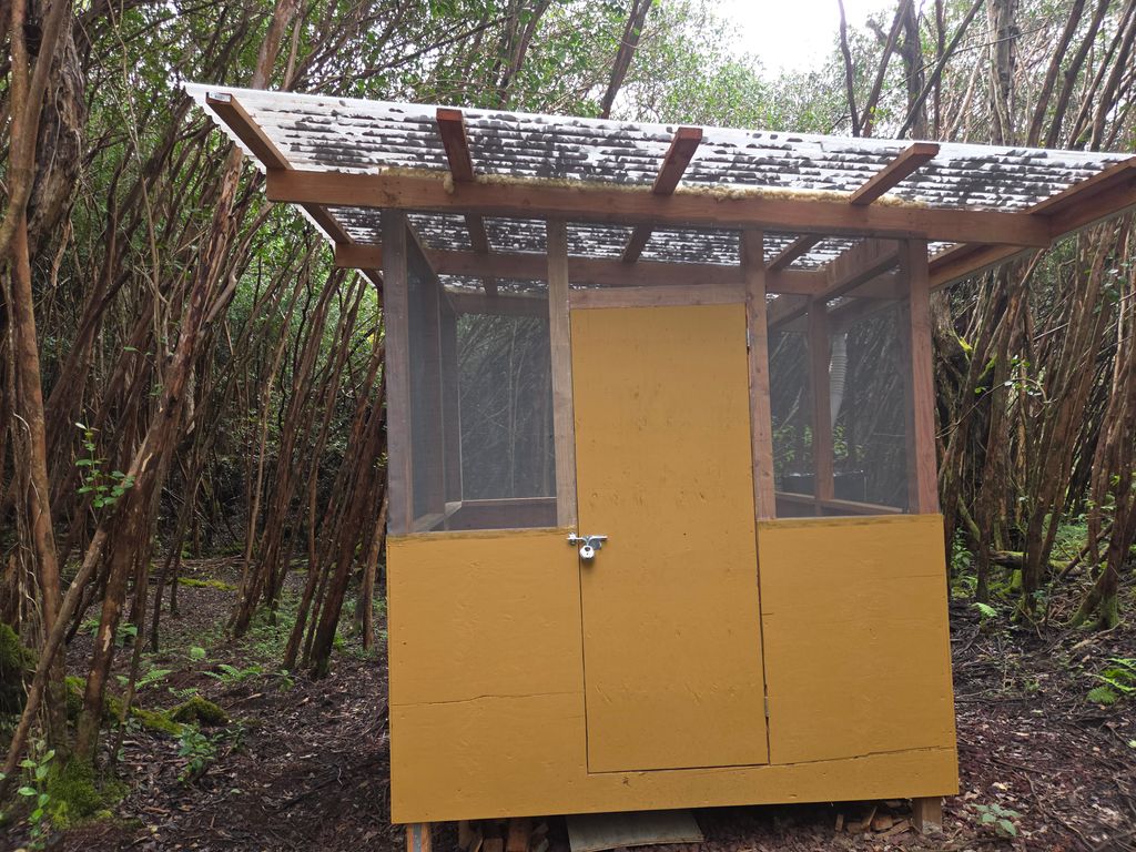 Image 1 of property listing at 1 LANAI ST, Pahoa, HI 96778