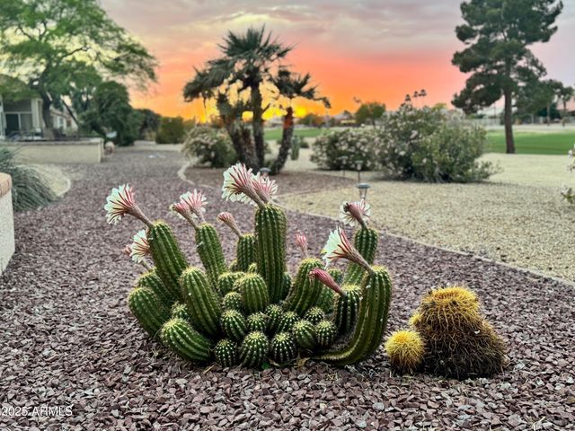 13612 W ROBERTSON Drive, Sun City West, AZ 85375