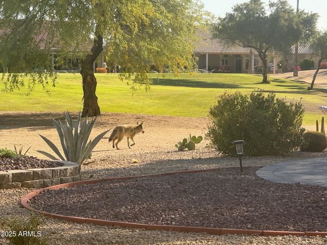 13612 W ROBERTSON Drive, Sun City West, AZ 85375