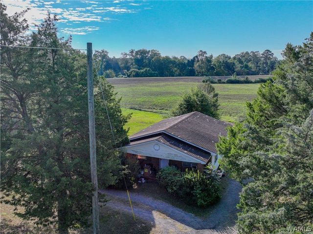 955 Rice Mine, Northport, AL 35476