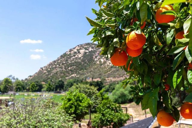 8866 Bridle Run, Alpine, CA 91901