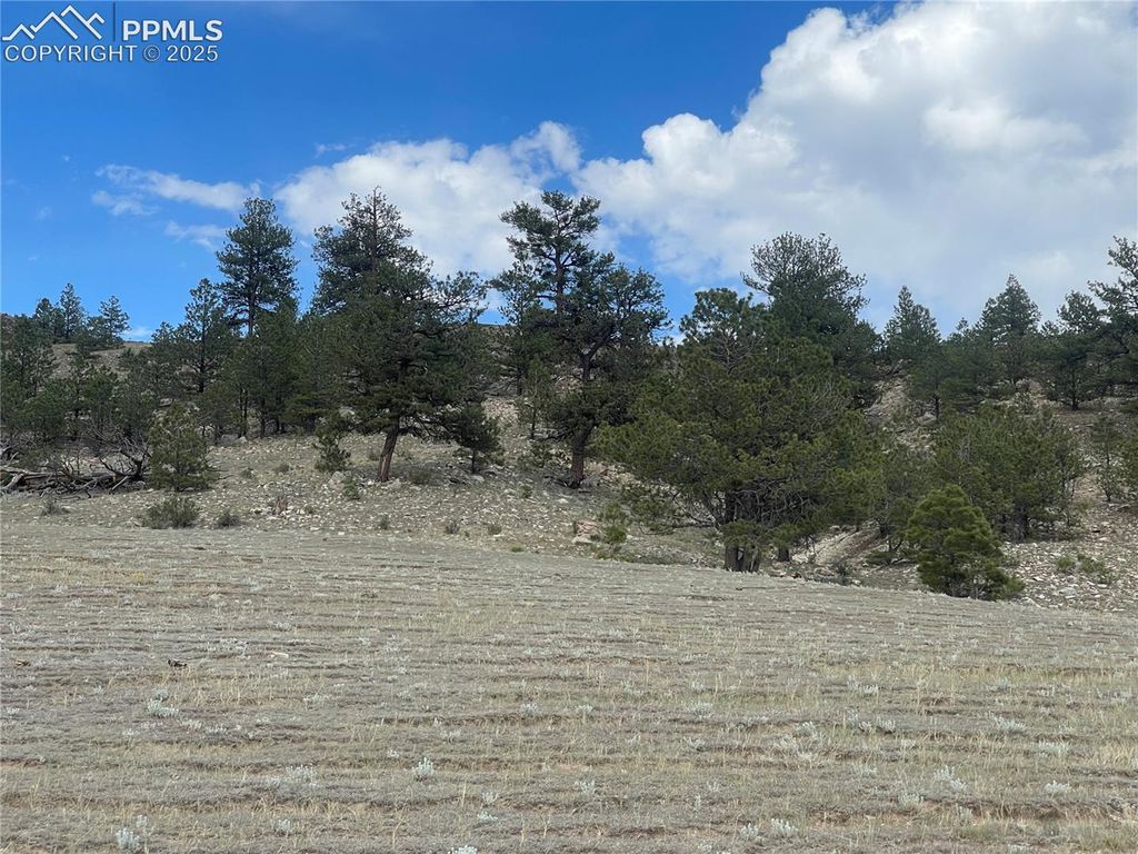 00 Lakeview Drive, Hartsel, CO 80449 — exterior