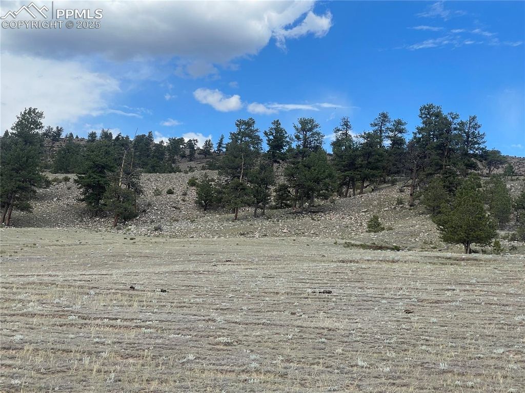 00 Lakeview Drive, Hartsel, CO 80449 — photo 4