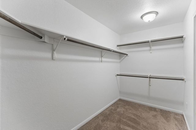 260 Silver Springs BND, Kyle, TX 78640