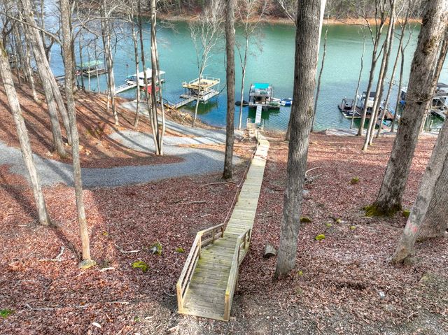 59 Chiefs Lane, Blue Ridge, GA 30513