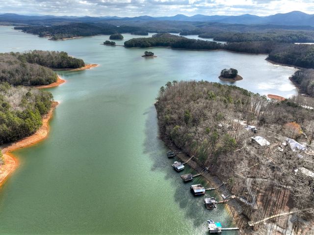 59 Chiefs Lane, Blue Ridge, GA 30513