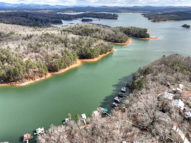 59 Chiefs Lane, Blue Ridge, GA 30513