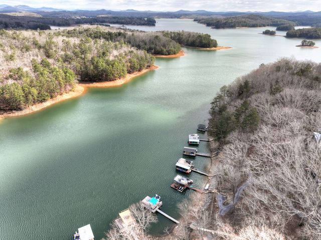 59 Chiefs Lane, Blue Ridge, GA 30513