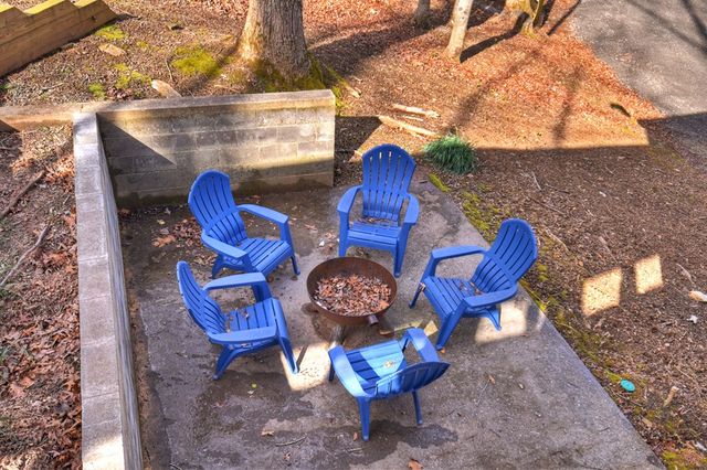 59 Chiefs Lane, Blue Ridge, GA 30513