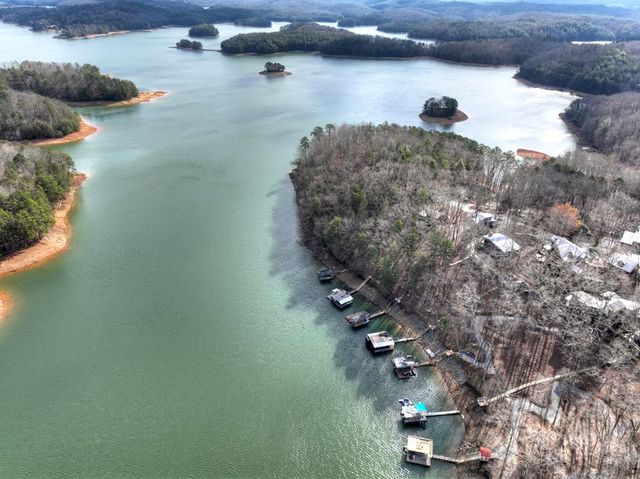 59 Chiefs Lane, Blue Ridge, GA 30513