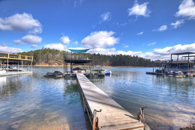 59 Chiefs Lane, Blue Ridge, GA 30513