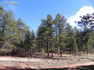 4467 Delaware Drive, Larkspur, CO 80118