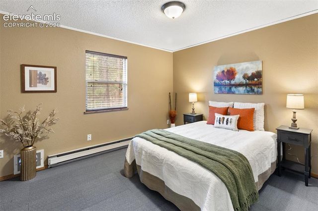 1303 W Midland Avenue, Woodland Park, CO 80863