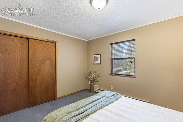 1303 W Midland Avenue, Woodland Park, CO 80863