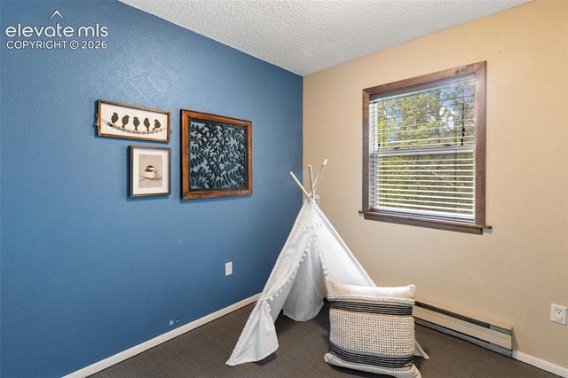 1303 W Midland Avenue, Woodland Park, CO 80863