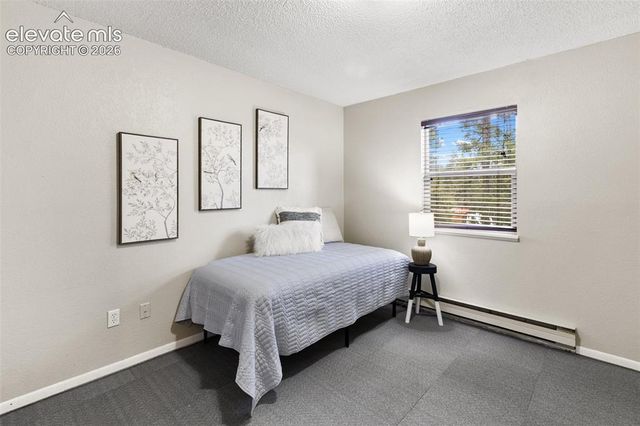 1303 W Midland Avenue, Woodland Park, CO 80863