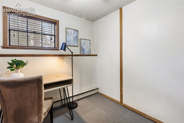 1303 W Midland Avenue, Woodland Park, CO 80863