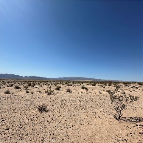 1234 Taco Drive, 29 Palms, CA 92277