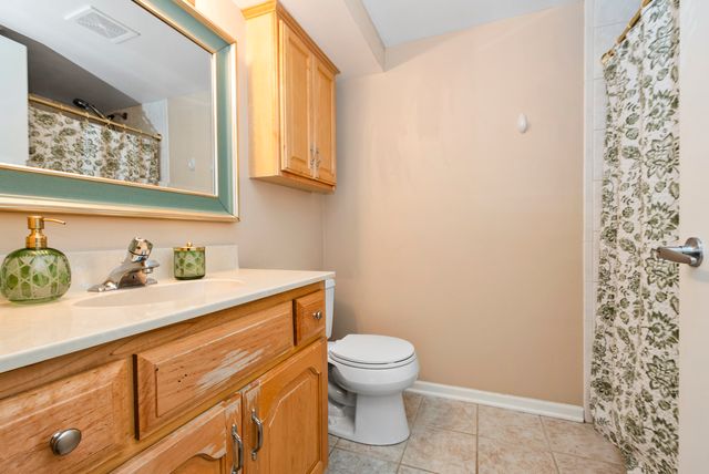 8733 Willow Boulevard 1C, Willow Springs, IL 60480