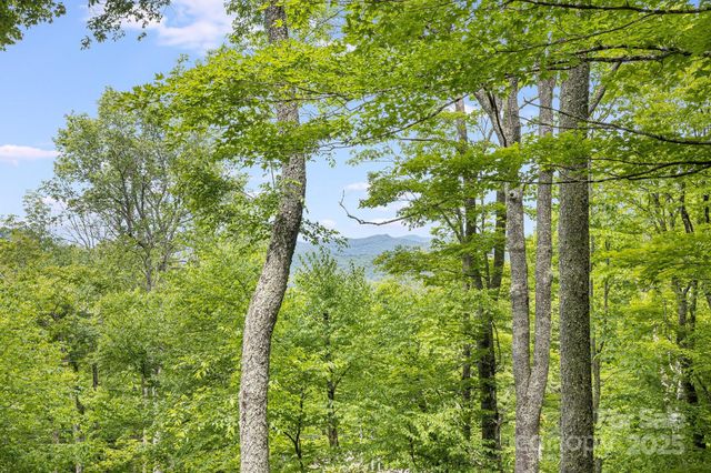 170 Lucas Lane, Mars Hill, NC 28754