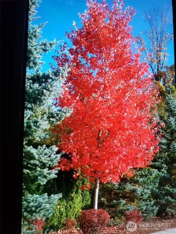 538 241st Lane SE, Sammamish, WA 98074