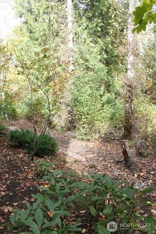 538 241st Lane SE, Sammamish, WA 98074