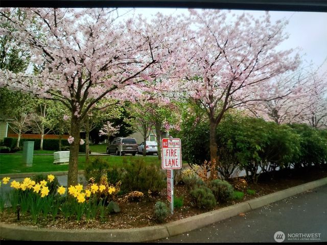 538 241st Lane SE, Sammamish, WA 98074