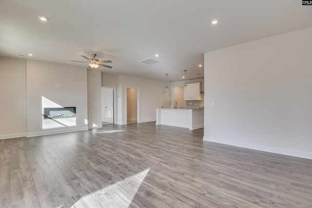 605 Basalt Court, Chapin, SC 29036