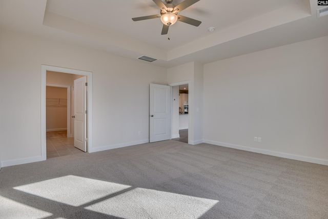 605 Basalt Court, Chapin, SC 29036