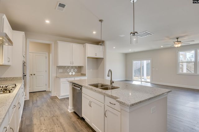 605 Basalt Court, Chapin, SC 29036