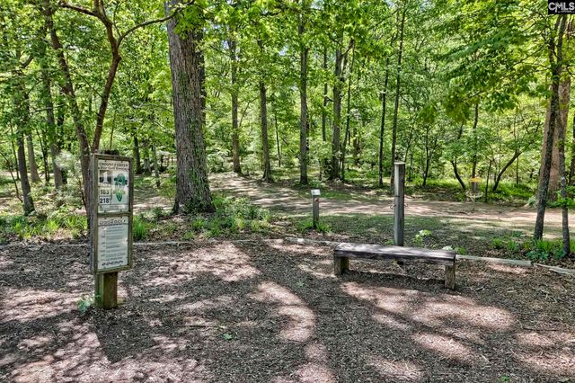605 Basalt Court, Chapin, SC 29036
