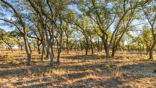 1422-12 RM 2766, Johnson City, TX 78636