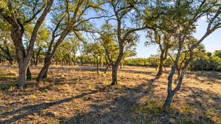 1422-12 RM 2766, Johnson City, TX 78636