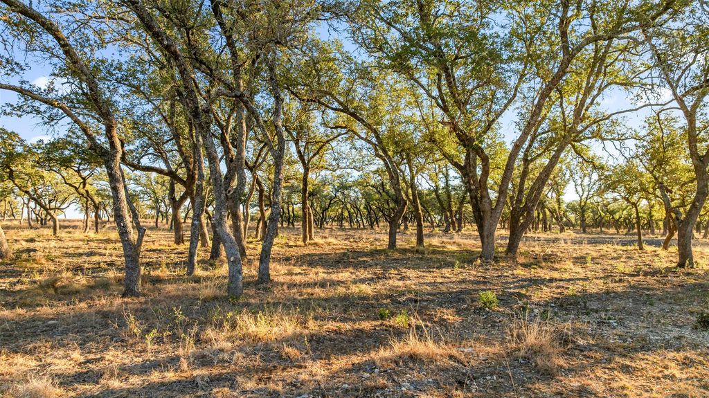 1422-12 RM 2766, Johnson City, TX 78636