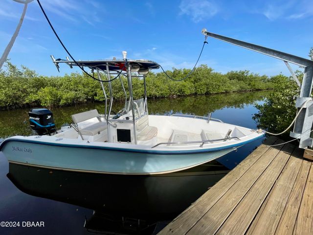 40 Oak Tree Drive, New Smyrna Beach, FL 32169