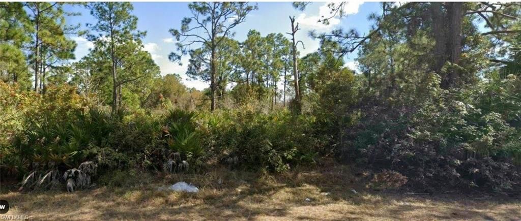 1016 Williams AVE, LEHIGH ACRES, FL 33972 — exterior