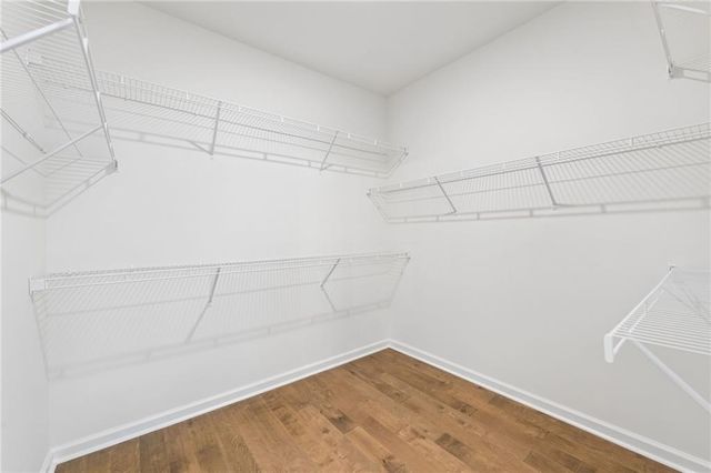 1286 Tributary Drive, Cumming, GA 30041
