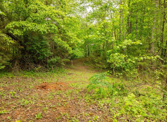 1070 Kentucky 2393, Monticello, KY 42633