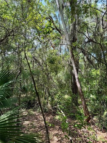 16500 NE 48TH AVENUE, Citra, FL 32113