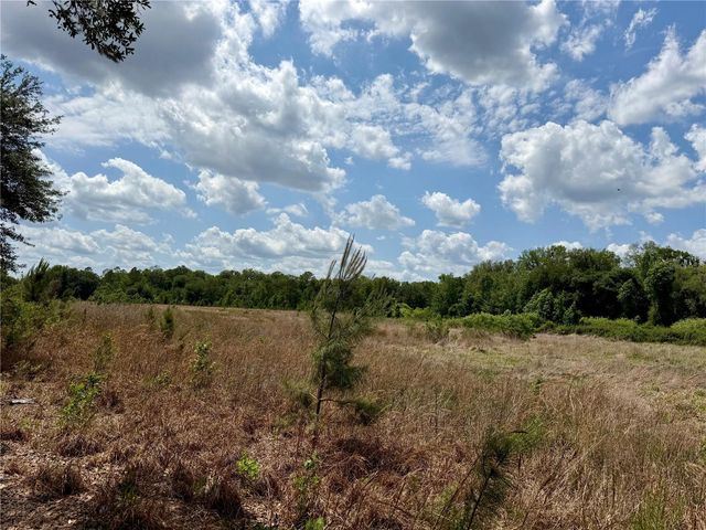 16500 NE 48TH AVENUE, Citra, FL 32113
