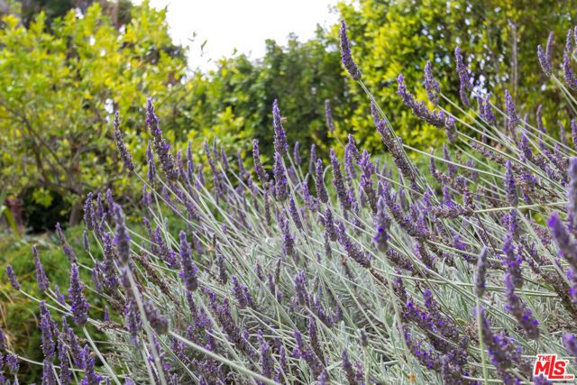 28929 Wight Road, Malibu, CA 90265